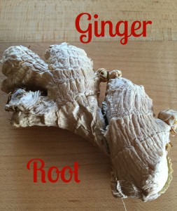 GingerRoot