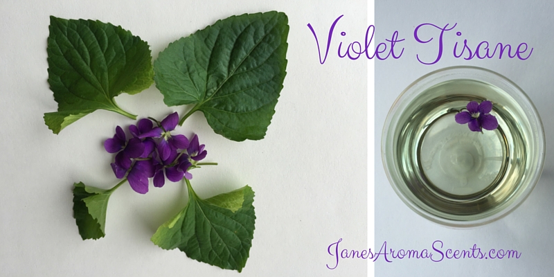 Make a Violet Tisane