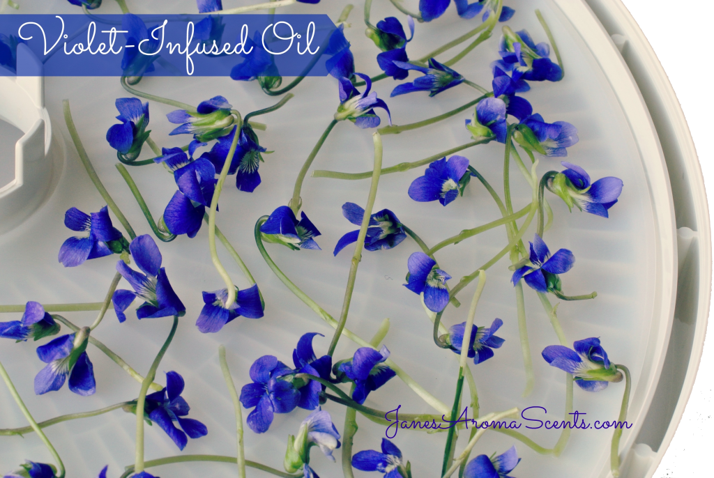 infused violet oil