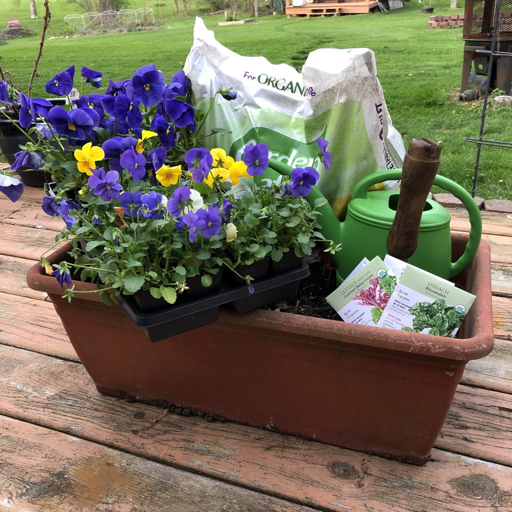 container gardening
