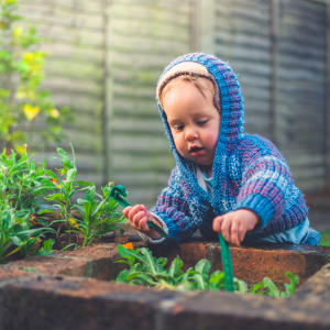 gardening ideas for kids
