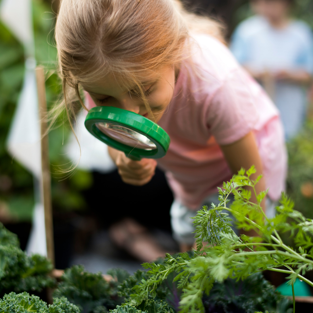 kids gardening kit